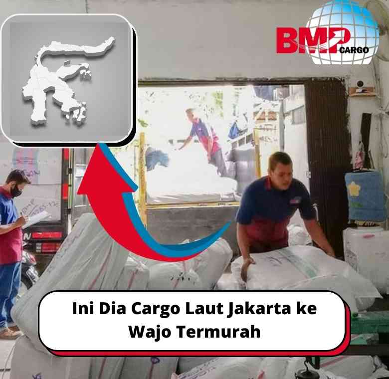 Ini Dia Cargo Laut Jakarta ke Wajo Termurah