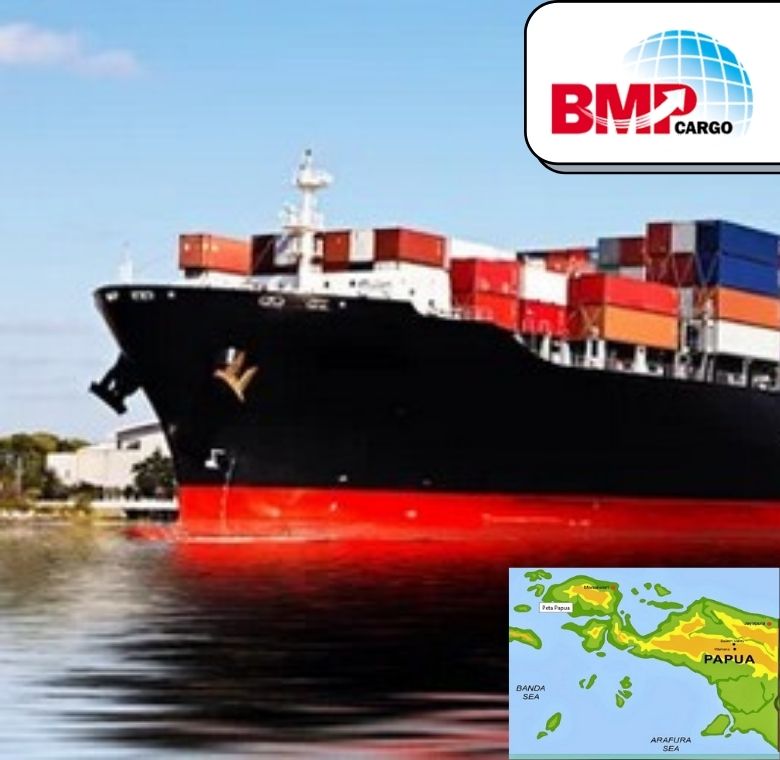 Jasa Cargo Jakarta Ke Papua Terbaik Bergaransi
